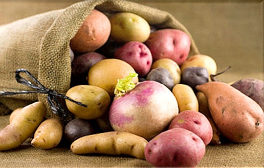 Potato Park