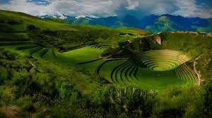 Moray