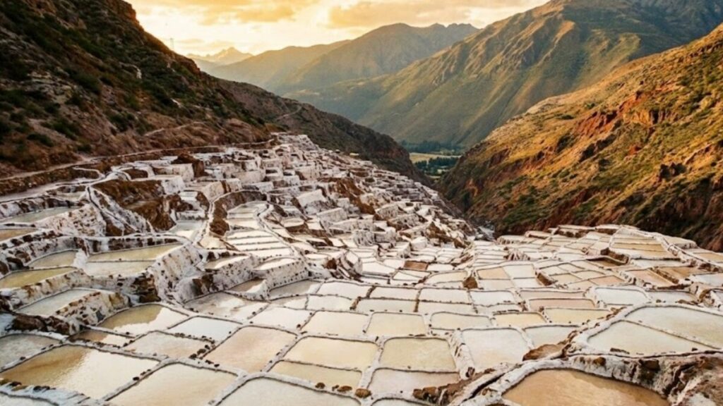 Maras